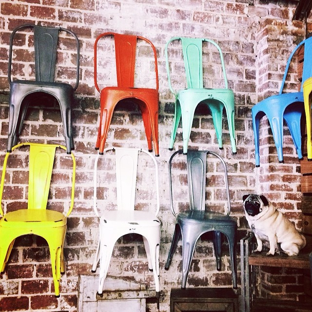 12798481405_536e39b9a4_z