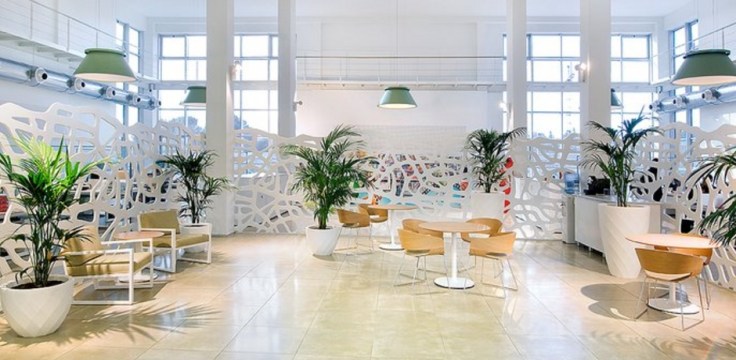 celosia-duralmond-jugueteria-paterna_1